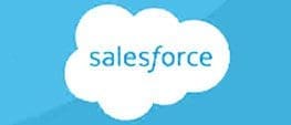 salesforce custom sneakers