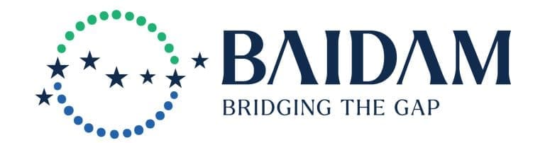 custom shoes for Baidam. Corporate branding